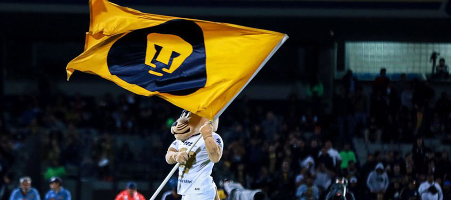 Pumas : Apuesta Liga MX desde México