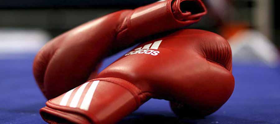 Apuestas Boxeo – Julio César ‘Rey’ Martínez vs Cristofer Rosales