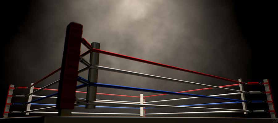Boxeo Linares vs Haney