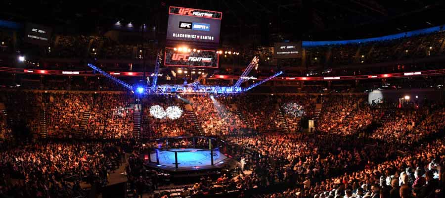 UFC Betting Odds | MMA Lines with InstaBet: Mexican Sportsbook