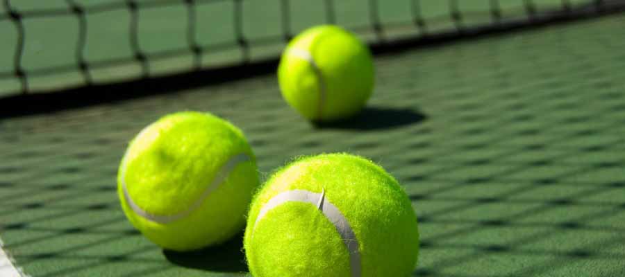 Tenis – Líneas de Apuestas y Predicciones para ganar Wimbledon 2019 Femenino