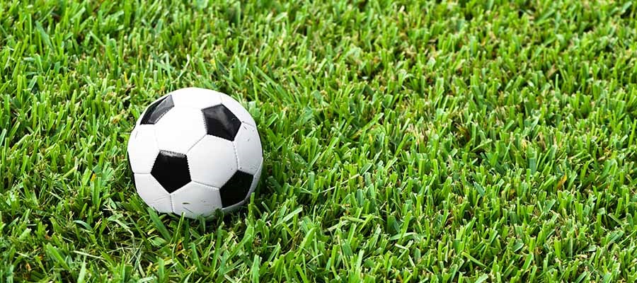Apuestas Liga MX – Necaxa vs Monterrey Jornada 7