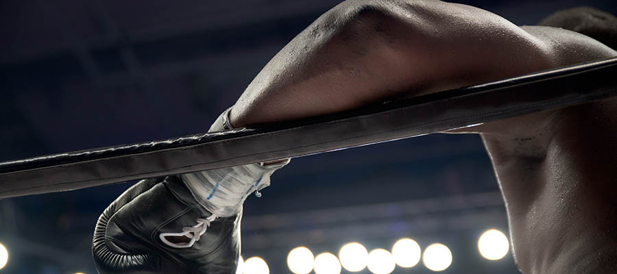 Apuestas Boxeo – Floyd Mayweather Jr. vs Logan Paul