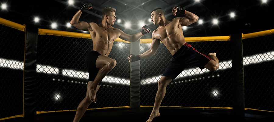 Análisis UFC Fight Night: Hall vs Strickland