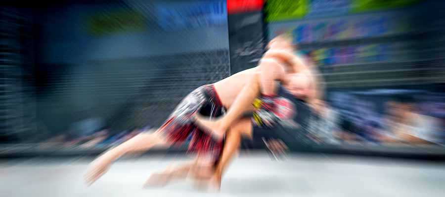 Poirier vs McGregor III