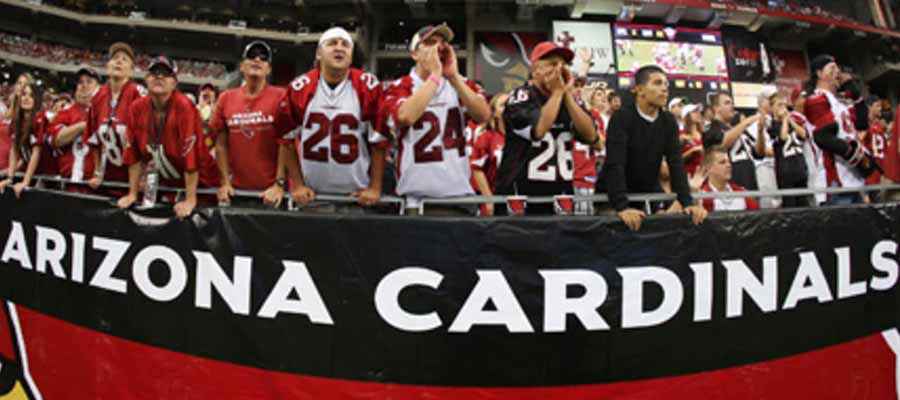 Arizona Cardinals vs Carolina Panthers Semana 10