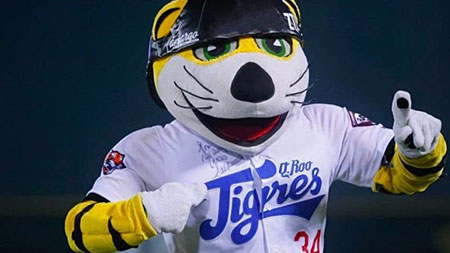 Chacho | Mascota Tigres de Quintana Roo | LMB Mexicana