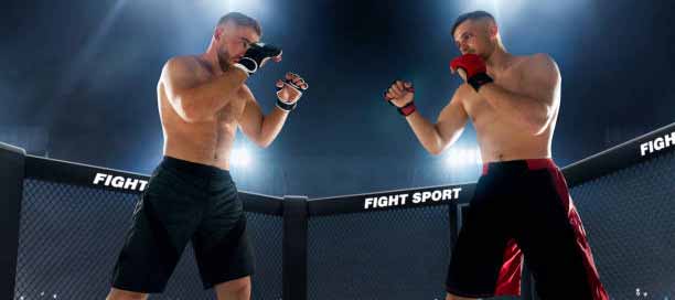 MMA UFC Moreno vs. Figueiredo