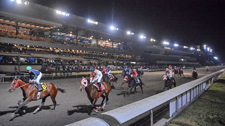 Hipódromos de México | Hipódromo de las Américas