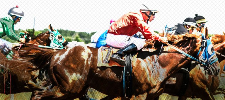Pronósticos de campeones de carreras de caballos en español