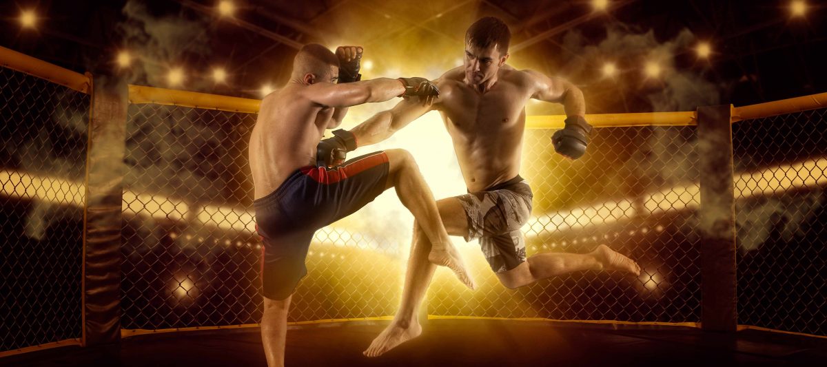 UFC Fight Night Alexander Volkov vs Tom Aspinall