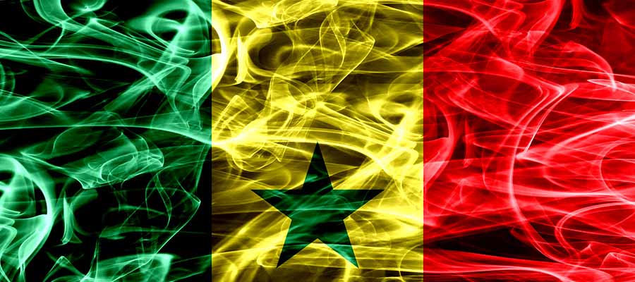 Copa Mundial FIFA 2022 Selección Senegal Pronosticos