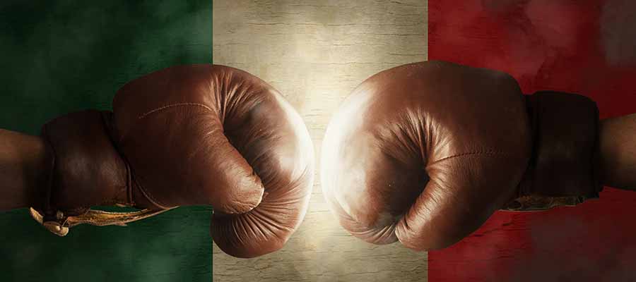 Mejores Boxeadores Mexicanos 2022