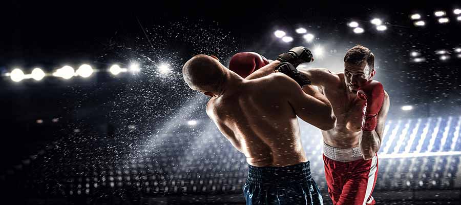 Boxeo - Stephen Fulton vs Daniel Román